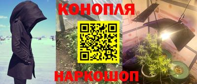 шишки Комсомольск-на-Амуре